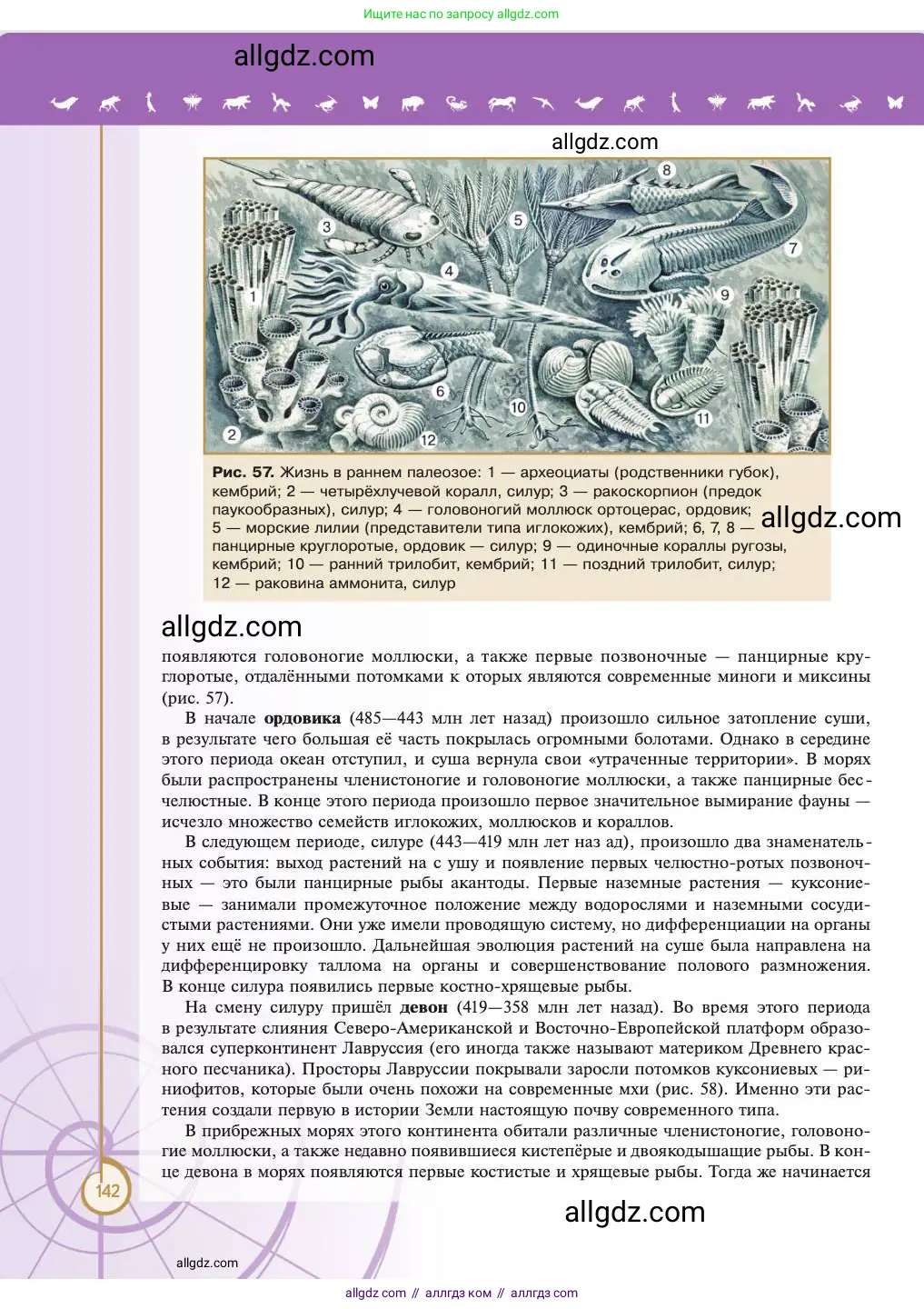 Биология, 11 класс Учебник, авторы: Пасечник Владимир Васильевич, Каменский Андрей Александрович, Рубцов Александр Михайлович, Швецов Глеб Геннадьевич, Абовян Леван Арташесович, Гапонюк Зоя Георгиевна, издательство Просвещение, Москва, 2023, страница 142