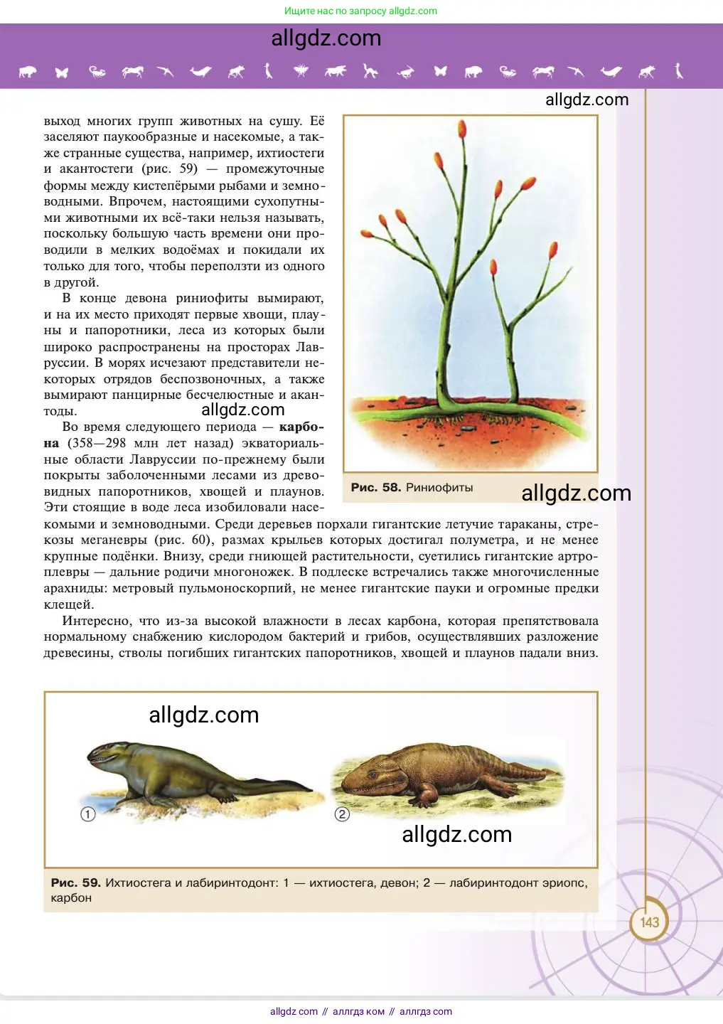 Биология, 11 класс Учебник, авторы: Пасечник Владимир Васильевич, Каменский Андрей Александрович, Рубцов Александр Михайлович, Швецов Глеб Геннадьевич, Абовян Леван Арташесович, Гапонюк Зоя Георгиевна, издательство Просвещение, Москва, 2023, страница 143