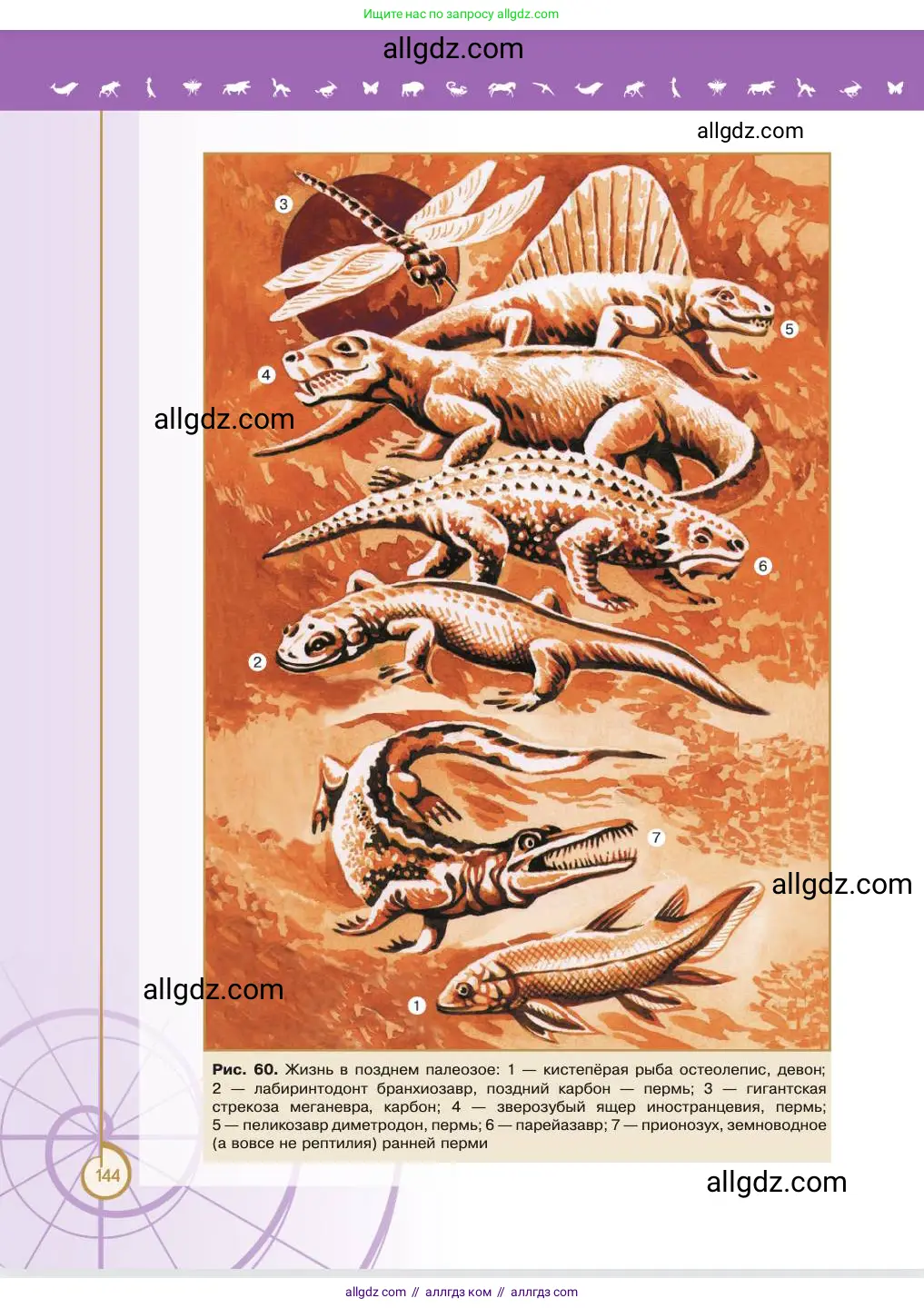 Биология, 11 класс Учебник, авторы: Пасечник Владимир Васильевич, Каменский Андрей Александрович, Рубцов Александр Михайлович, Швецов Глеб Геннадьевич, Абовян Леван Арташесович, Гапонюк Зоя Георгиевна, издательство Просвещение, Москва, 2023, страница 144