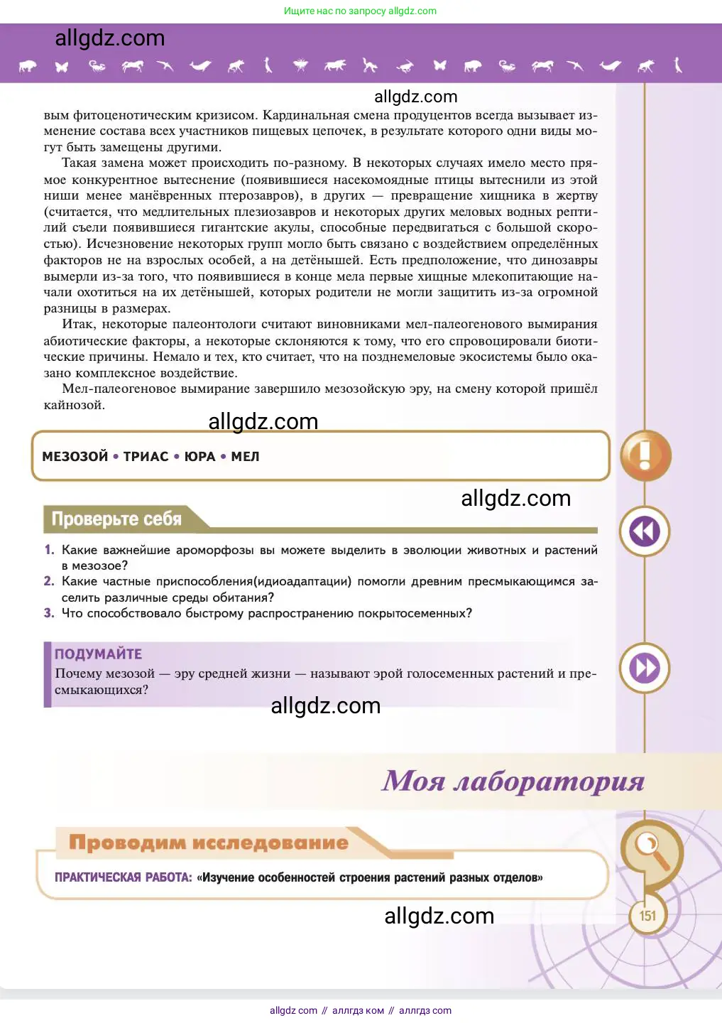 Биология, 11 класс Учебник, авторы: Пасечник Владимир Васильевич, Каменский Андрей Александрович, Рубцов Александр Михайлович, Швецов Глеб Геннадьевич, Абовян Леван Арташесович, Гапонюк Зоя Георгиевна, издательство Просвещение, Москва, 2023, страница 151