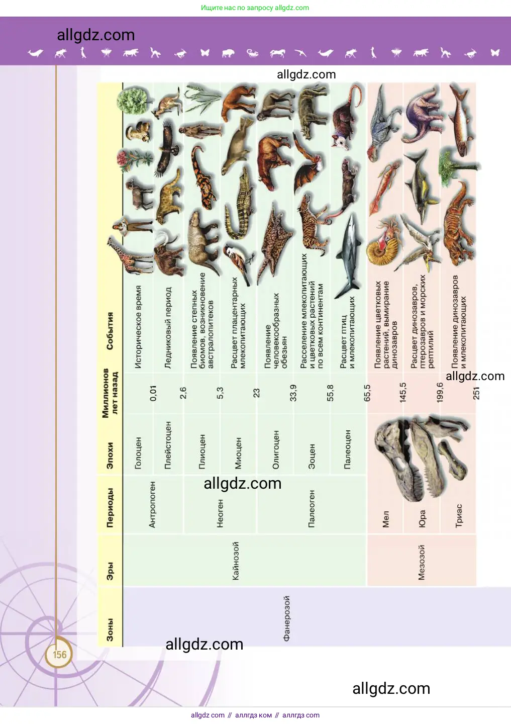 Биология, 11 класс Учебник, авторы: Пасечник Владимир Васильевич, Каменский Андрей Александрович, Рубцов Александр Михайлович, Швецов Глеб Геннадьевич, Абовян Леван Арташесович, Гапонюк Зоя Георгиевна, издательство Просвещение, Москва, 2023, страница 156