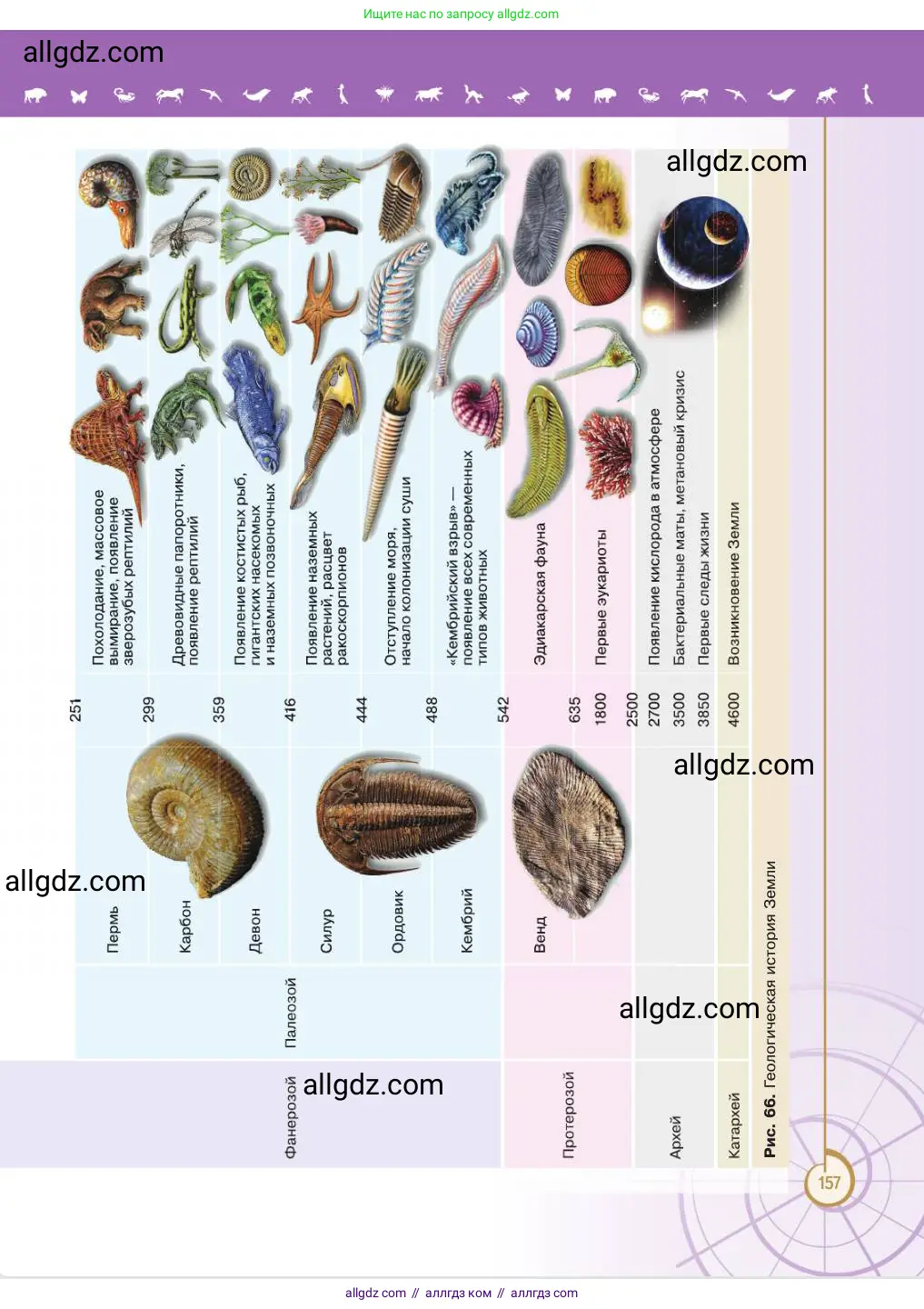 Биология, 11 класс Учебник, авторы: Пасечник Владимир Васильевич, Каменский Андрей Александрович, Рубцов Александр Михайлович, Швецов Глеб Геннадьевич, Абовян Леван Арташесович, Гапонюк Зоя Георгиевна, издательство Просвещение, Москва, 2023, страница 157