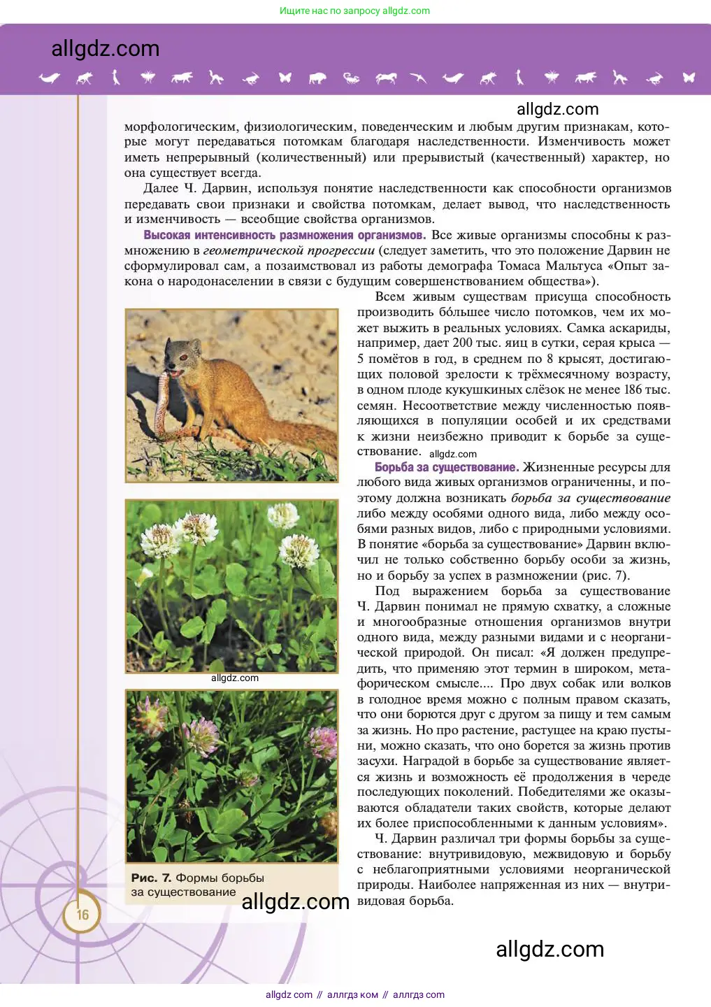 Биология, 11 класс Учебник, авторы: Пасечник Владимир Васильевич, Каменский Андрей Александрович, Рубцов Александр Михайлович, Швецов Глеб Геннадьевич, Абовян Леван Арташесович, Гапонюк Зоя Георгиевна, издательство Просвещение, Москва, 2023, страница 16