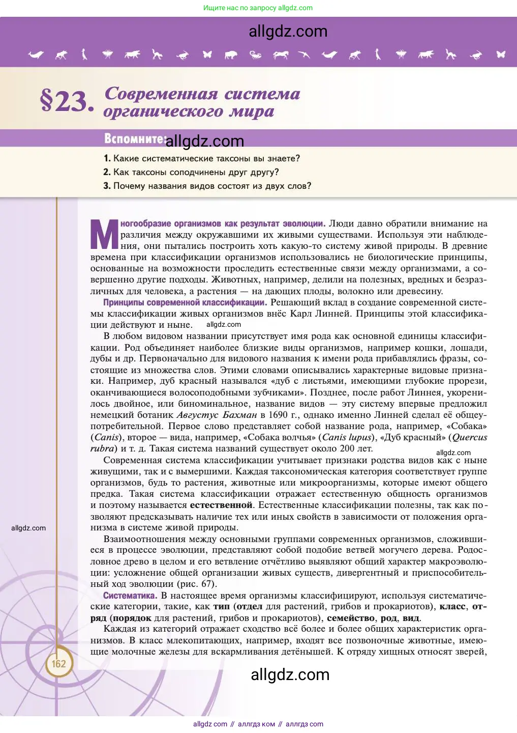 Биология, 11 класс Учебник, авторы: Пасечник Владимир Васильевич, Каменский Андрей Александрович, Рубцов Александр Михайлович, Швецов Глеб Геннадьевич, Абовян Леван Арташесович, Гапонюк Зоя Георгиевна, издательство Просвещение, Москва, 2023, страница 162