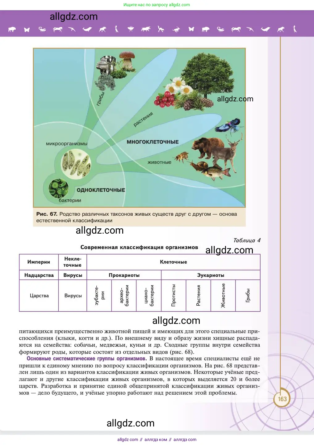 Биология, 11 класс Учебник, авторы: Пасечник Владимир Васильевич, Каменский Андрей Александрович, Рубцов Александр Михайлович, Швецов Глеб Геннадьевич, Абовян Леван Арташесович, Гапонюк Зоя Георгиевна, издательство Просвещение, Москва, 2023, страница 163
