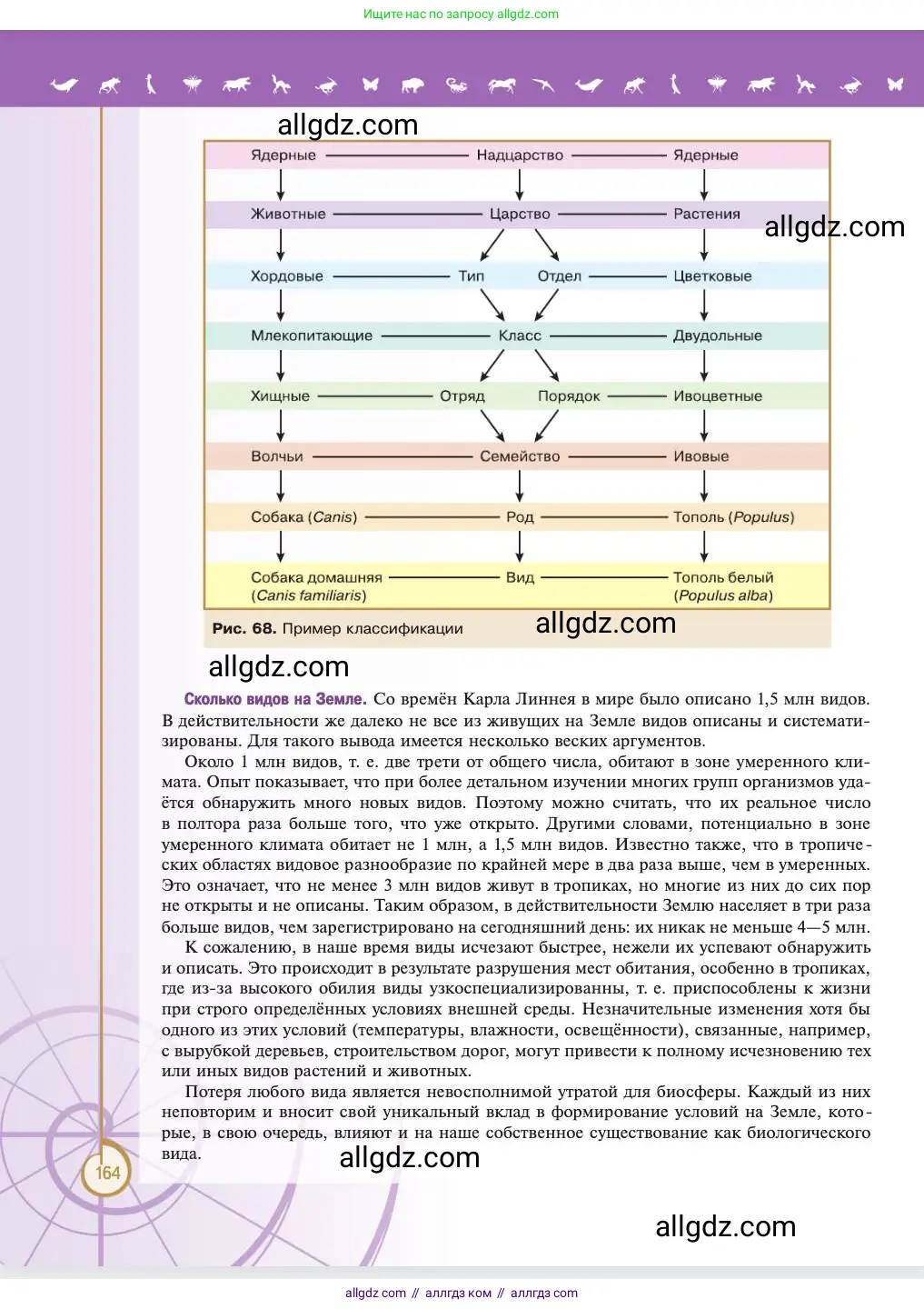 Биология, 11 класс Учебник, авторы: Пасечник Владимир Васильевич, Каменский Андрей Александрович, Рубцов Александр Михайлович, Швецов Глеб Геннадьевич, Абовян Леван Арташесович, Гапонюк Зоя Георгиевна, издательство Просвещение, Москва, 2023, страница 164