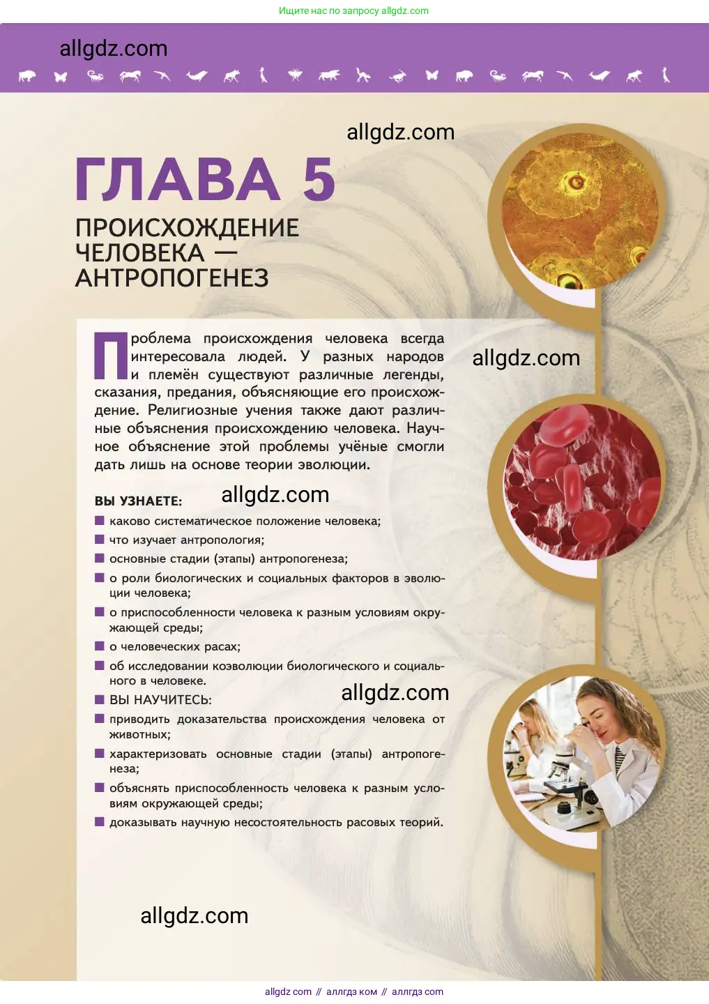 Биология, 11 класс Учебник, авторы: Пасечник Владимир Васильевич, Каменский Андрей Александрович, Рубцов Александр Михайлович, Швецов Глеб Геннадьевич, Абовян Леван Арташесович, Гапонюк Зоя Георгиевна, издательство Просвещение, Москва, 2023, страница 167