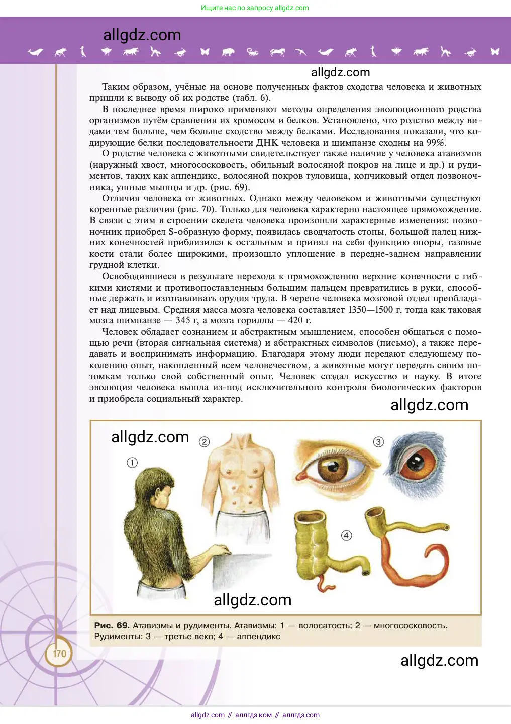 Биология, 11 класс Учебник, авторы: Пасечник Владимир Васильевич, Каменский Андрей Александрович, Рубцов Александр Михайлович, Швецов Глеб Геннадьевич, Абовян Леван Арташесович, Гапонюк Зоя Георгиевна, издательство Просвещение, Москва, 2023, страница 170