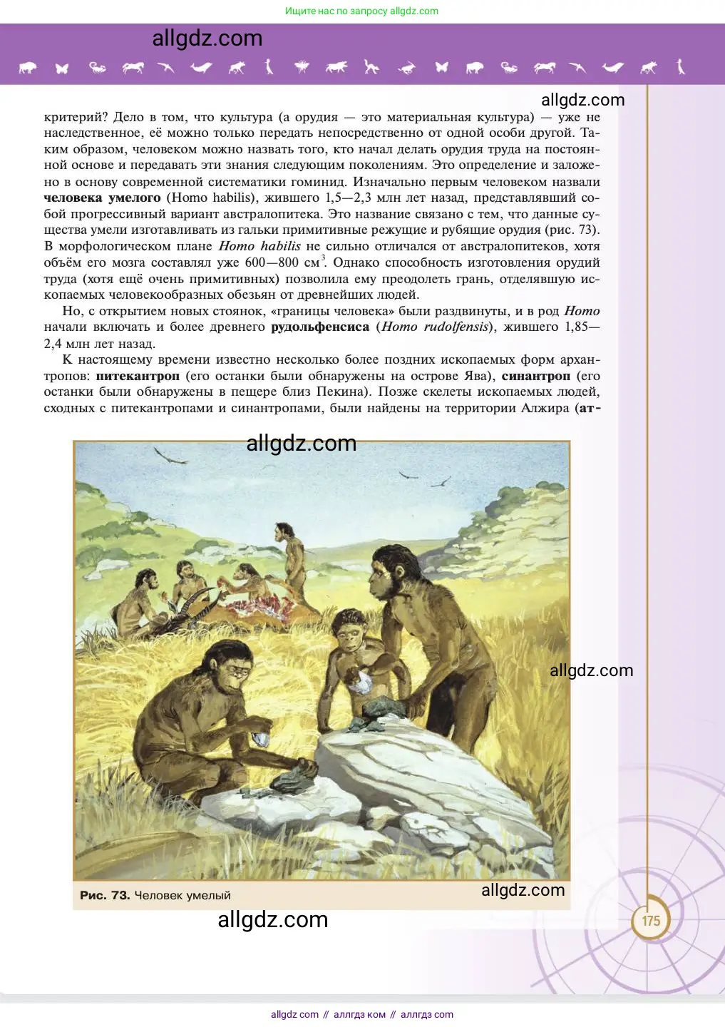 Биология, 11 класс Учебник, авторы: Пасечник Владимир Васильевич, Каменский Андрей Александрович, Рубцов Александр Михайлович, Швецов Глеб Геннадьевич, Абовян Леван Арташесович, Гапонюк Зоя Георгиевна, издательство Просвещение, Москва, 2023, страница 175