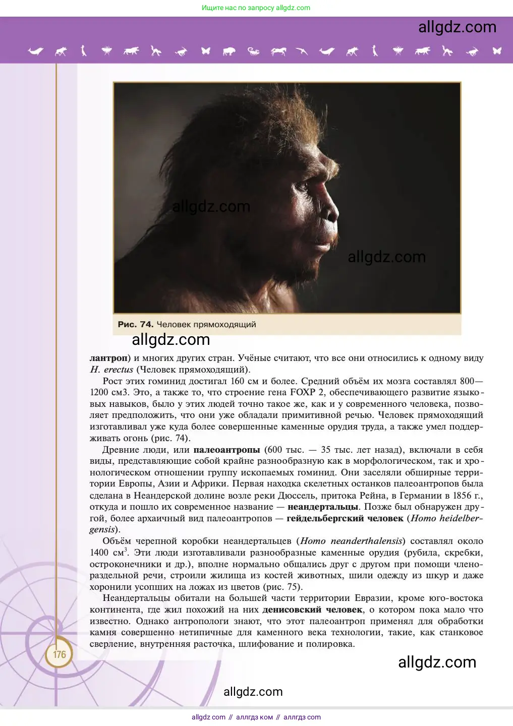 Биология, 11 класс Учебник, авторы: Пасечник Владимир Васильевич, Каменский Андрей Александрович, Рубцов Александр Михайлович, Швецов Глеб Геннадьевич, Абовян Леван Арташесович, Гапонюк Зоя Георгиевна, издательство Просвещение, Москва, 2023, страница 176