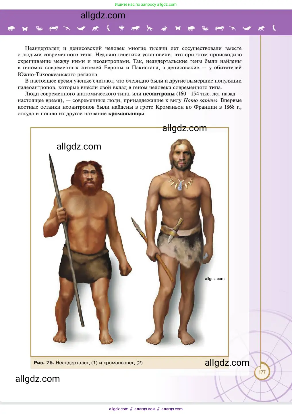 Биология, 11 класс Учебник, авторы: Пасечник Владимир Васильевич, Каменский Андрей Александрович, Рубцов Александр Михайлович, Швецов Глеб Геннадьевич, Абовян Леван Арташесович, Гапонюк Зоя Георгиевна, издательство Просвещение, Москва, 2023, страница 177