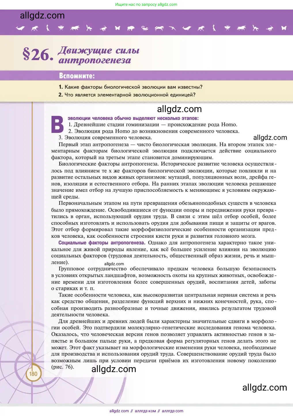 Биология, 11 класс Учебник, авторы: Пасечник Владимир Васильевич, Каменский Андрей Александрович, Рубцов Александр Михайлович, Швецов Глеб Геннадьевич, Абовян Леван Арташесович, Гапонюк Зоя Георгиевна, издательство Просвещение, Москва, 2023, страница 180