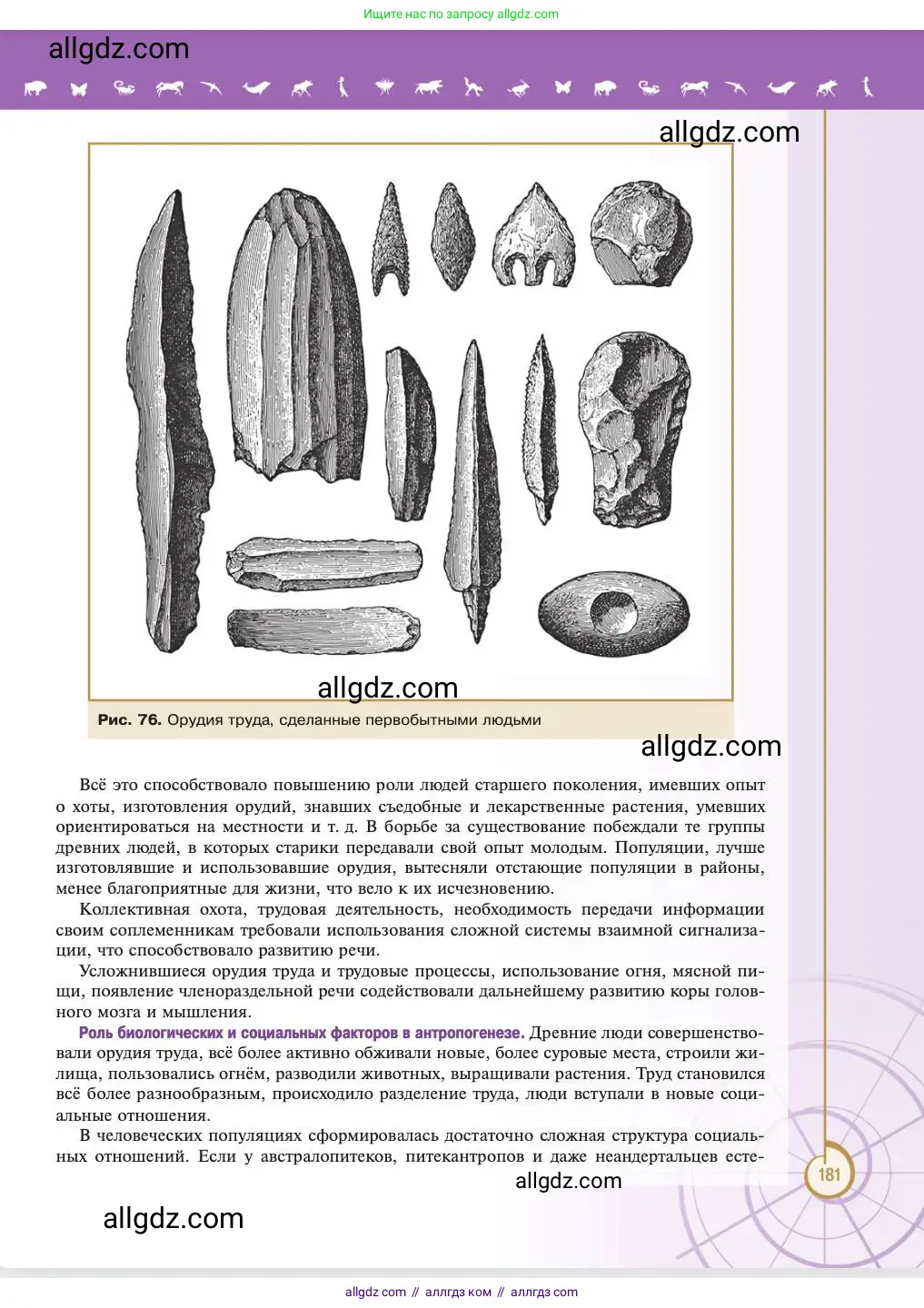 Биология, 11 класс Учебник, авторы: Пасечник Владимир Васильевич, Каменский Андрей Александрович, Рубцов Александр Михайлович, Швецов Глеб Геннадьевич, Абовян Леван Арташесович, Гапонюк Зоя Георгиевна, издательство Просвещение, Москва, 2023, страница 181