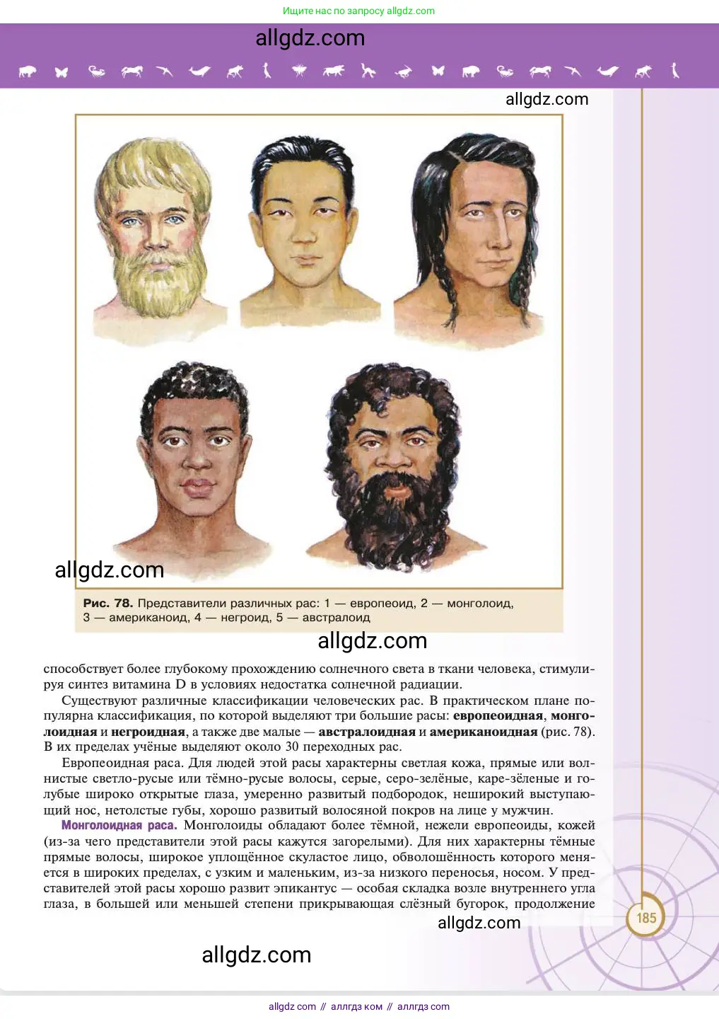 Биология, 11 класс Учебник, авторы: Пасечник Владимир Васильевич, Каменский Андрей Александрович, Рубцов Александр Михайлович, Швецов Глеб Геннадьевич, Абовян Леван Арташесович, Гапонюк Зоя Георгиевна, издательство Просвещение, Москва, 2023, страница 185