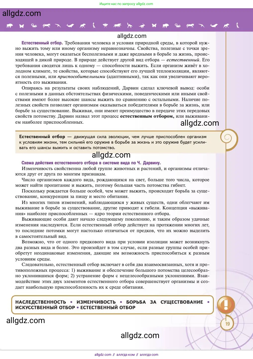 Биология, 11 класс Учебник, авторы: Пасечник Владимир Васильевич, Каменский Андрей Александрович, Рубцов Александр Михайлович, Швецов Глеб Геннадьевич, Абовян Леван Арташесович, Гапонюк Зоя Георгиевна, издательство Просвещение, Москва, 2023, страница 19