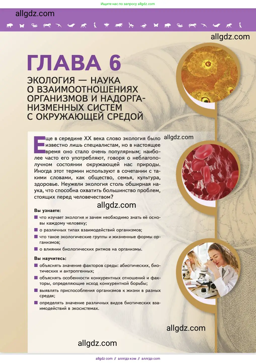 Биология, 11 класс Учебник, авторы: Пасечник Владимир Васильевич, Каменский Андрей Александрович, Рубцов Александр Михайлович, Швецов Глеб Геннадьевич, Абовян Леван Арташесович, Гапонюк Зоя Георгиевна, издательство Просвещение, Москва, 2023, страница 193