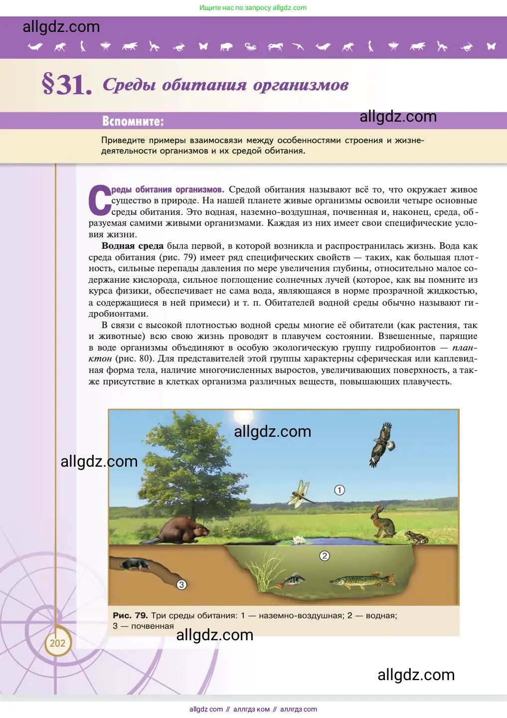 Биология, 11 класс Учебник, авторы: Пасечник Владимир Васильевич, Каменский Андрей Александрович, Рубцов Александр Михайлович, Швецов Глеб Геннадьевич, Абовян Леван Арташесович, Гапонюк Зоя Георгиевна, издательство Просвещение, Москва, 2023, страница 202