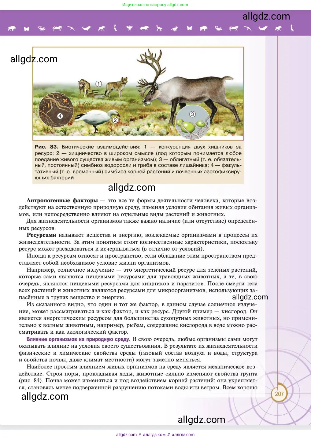 Биология, 11 класс Учебник, авторы: Пасечник Владимир Васильевич, Каменский Андрей Александрович, Рубцов Александр Михайлович, Швецов Глеб Геннадьевич, Абовян Леван Арташесович, Гапонюк Зоя Георгиевна, издательство Просвещение, Москва, 2023, страница 207
