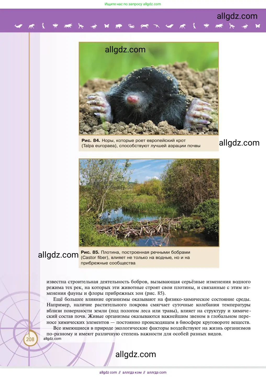 Биология, 11 класс Учебник, авторы: Пасечник Владимир Васильевич, Каменский Андрей Александрович, Рубцов Александр Михайлович, Швецов Глеб Геннадьевич, Абовян Леван Арташесович, Гапонюк Зоя Георгиевна, издательство Просвещение, Москва, 2023, страница 208