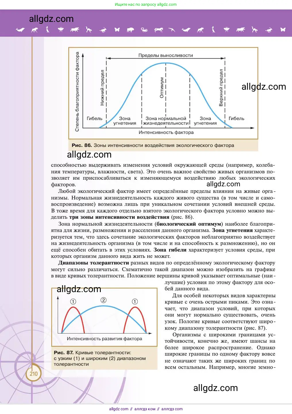 Биология, 11 класс Учебник, авторы: Пасечник Владимир Васильевич, Каменский Андрей Александрович, Рубцов Александр Михайлович, Швецов Глеб Геннадьевич, Абовян Леван Арташесович, Гапонюк Зоя Георгиевна, издательство Просвещение, Москва, 2023, страница 210