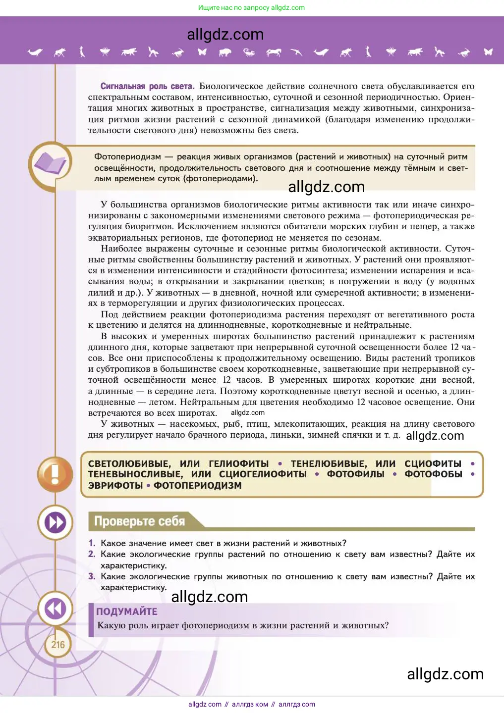 Биология, 11 класс Учебник, авторы: Пасечник Владимир Васильевич, Каменский Андрей Александрович, Рубцов Александр Михайлович, Швецов Глеб Геннадьевич, Абовян Леван Арташесович, Гапонюк Зоя Георгиевна, издательство Просвещение, Москва, 2023, страница 216