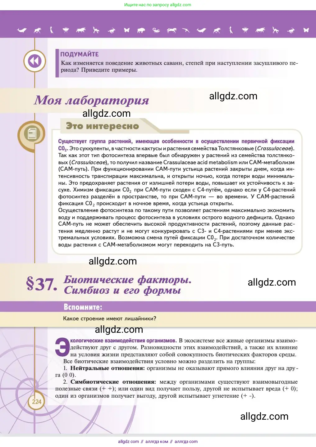 Биология, 11 класс Учебник, авторы: Пасечник Владимир Васильевич, Каменский Андрей Александрович, Рубцов Александр Михайлович, Швецов Глеб Геннадьевич, Абовян Леван Арташесович, Гапонюк Зоя Георгиевна, издательство Просвещение, Москва, 2023, страница 224