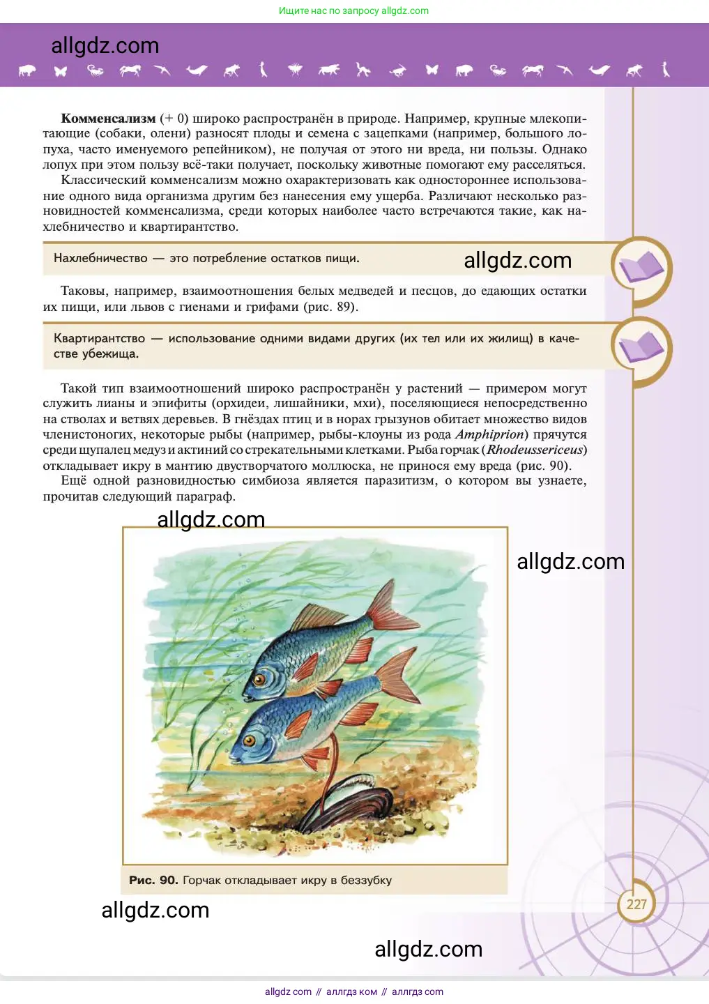 Биология, 11 класс Учебник, авторы: Пасечник Владимир Васильевич, Каменский Андрей Александрович, Рубцов Александр Михайлович, Швецов Глеб Геннадьевич, Абовян Леван Арташесович, Гапонюк Зоя Георгиевна, издательство Просвещение, Москва, 2023, страница 227