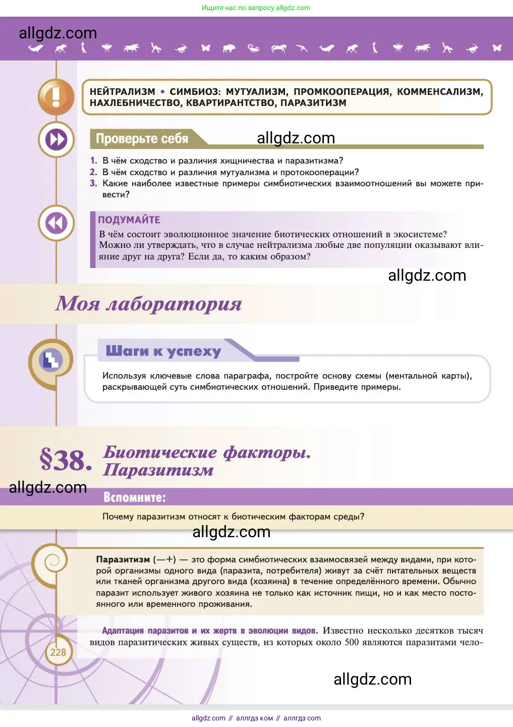Биология, 11 класс Учебник, авторы: Пасечник Владимир Васильевич, Каменский Андрей Александрович, Рубцов Александр Михайлович, Швецов Глеб Геннадьевич, Абовян Леван Арташесович, Гапонюк Зоя Георгиевна, издательство Просвещение, Москва, 2023, страница 228