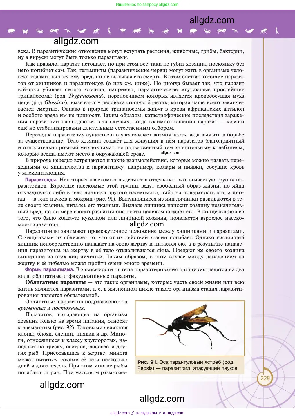 Биология, 11 класс Учебник, авторы: Пасечник Владимир Васильевич, Каменский Андрей Александрович, Рубцов Александр Михайлович, Швецов Глеб Геннадьевич, Абовян Леван Арташесович, Гапонюк Зоя Георгиевна, издательство Просвещение, Москва, 2023, страница 229