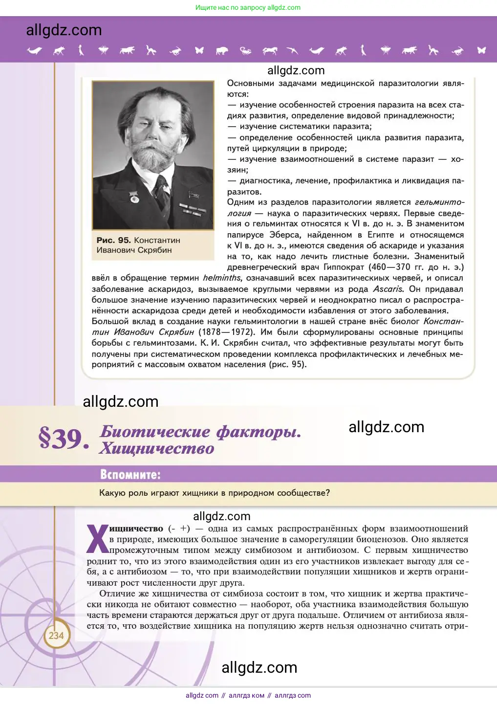 Биология, 11 класс Учебник, авторы: Пасечник Владимир Васильевич, Каменский Андрей Александрович, Рубцов Александр Михайлович, Швецов Глеб Геннадьевич, Абовян Леван Арташесович, Гапонюк Зоя Георгиевна, издательство Просвещение, Москва, 2023, страница 234