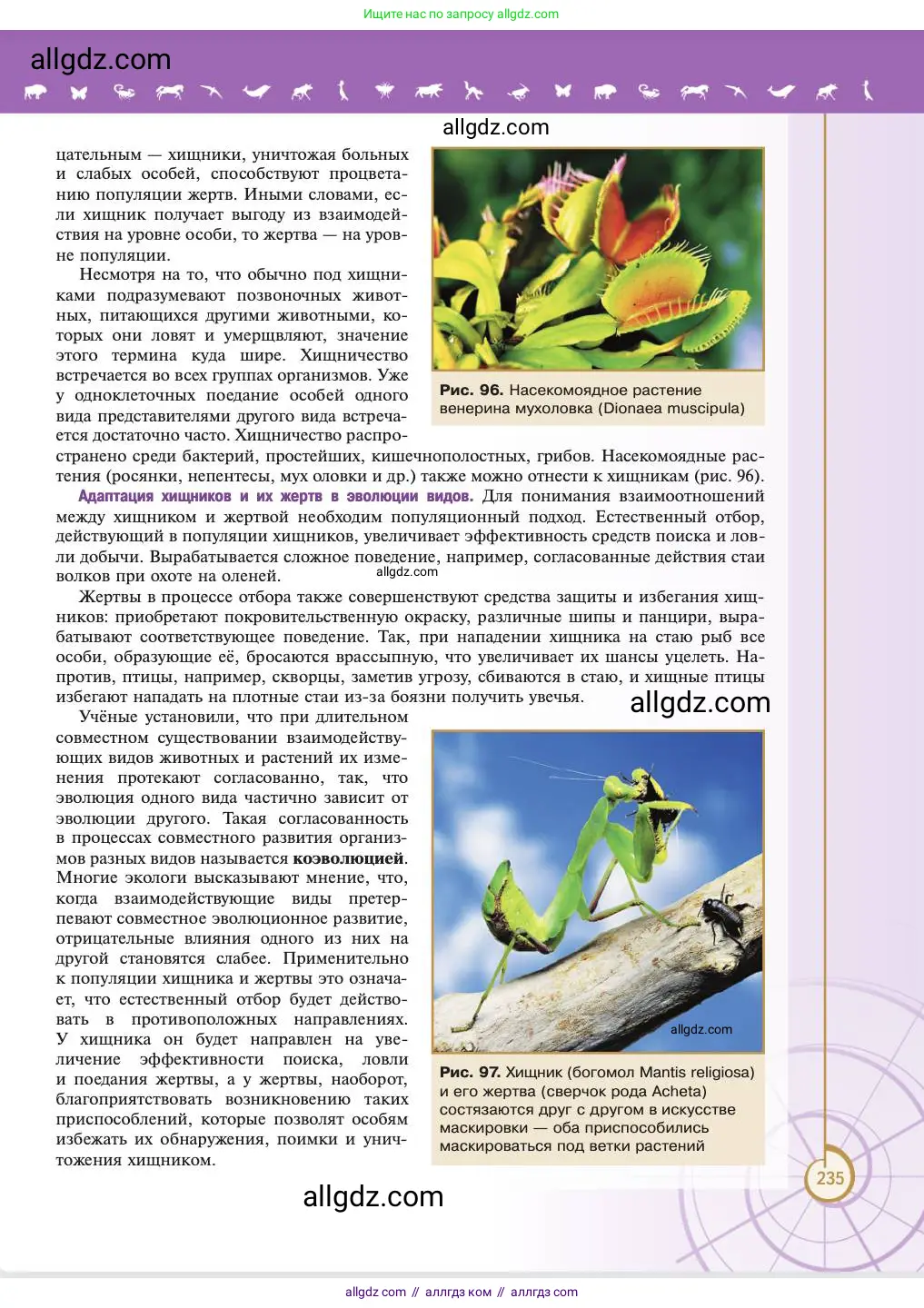 Биология, 11 класс Учебник, авторы: Пасечник Владимир Васильевич, Каменский Андрей Александрович, Рубцов Александр Михайлович, Швецов Глеб Геннадьевич, Абовян Леван Арташесович, Гапонюк Зоя Георгиевна, издательство Просвещение, Москва, 2023, страница 235