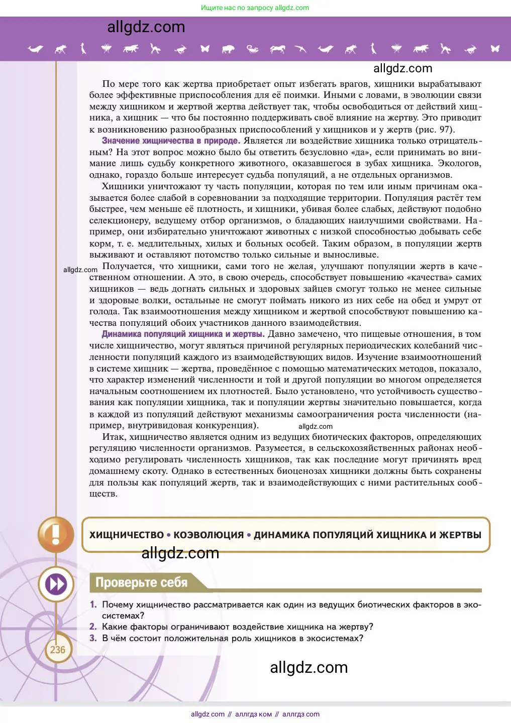 Биология, 11 класс Учебник, авторы: Пасечник Владимир Васильевич, Каменский Андрей Александрович, Рубцов Александр Михайлович, Швецов Глеб Геннадьевич, Абовян Леван Арташесович, Гапонюк Зоя Георгиевна, издательство Просвещение, Москва, 2023, страница 236
