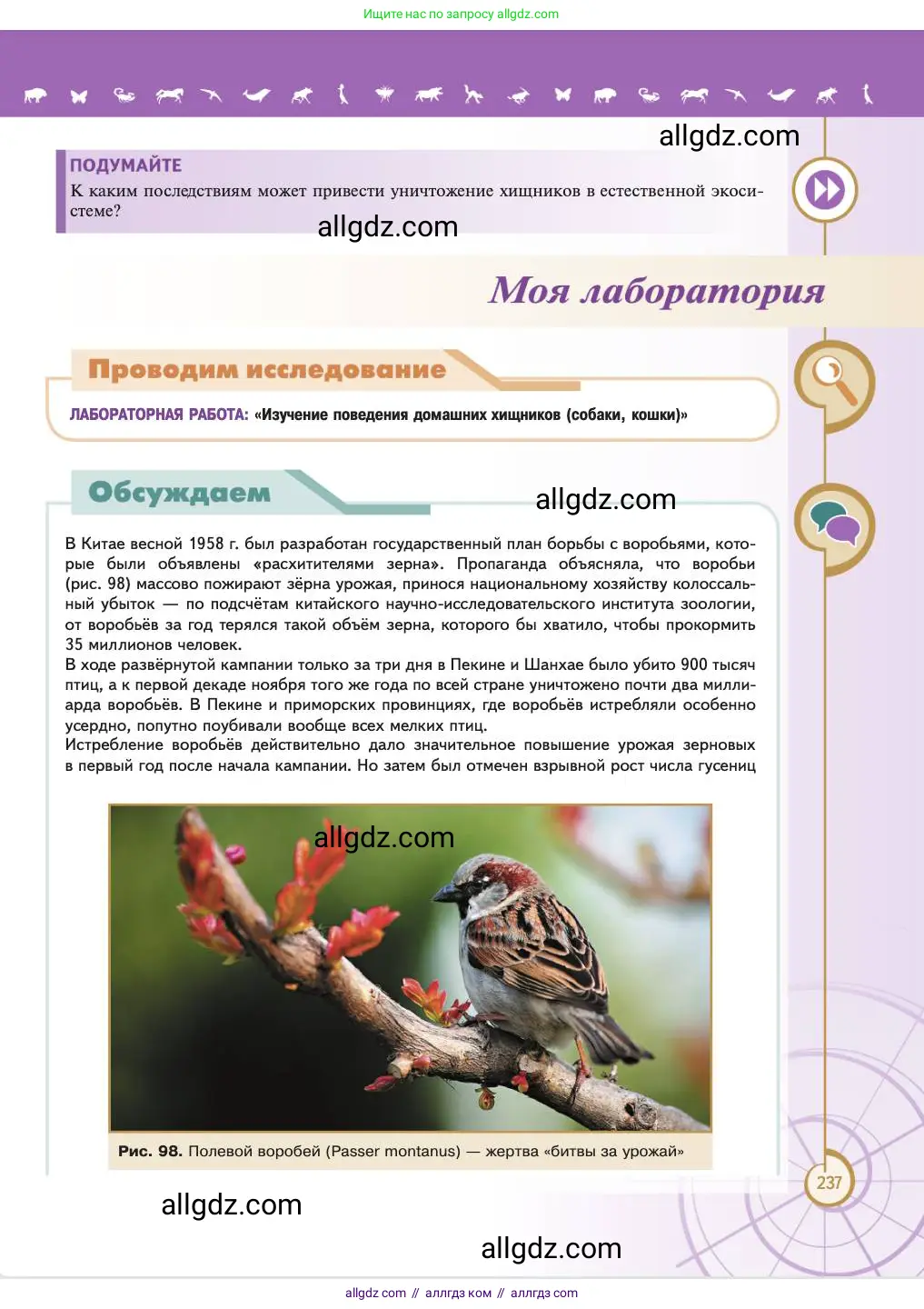 Биология, 11 класс Учебник, авторы: Пасечник Владимир Васильевич, Каменский Андрей Александрович, Рубцов Александр Михайлович, Швецов Глеб Геннадьевич, Абовян Леван Арташесович, Гапонюк Зоя Георгиевна, издательство Просвещение, Москва, 2023, страница 237