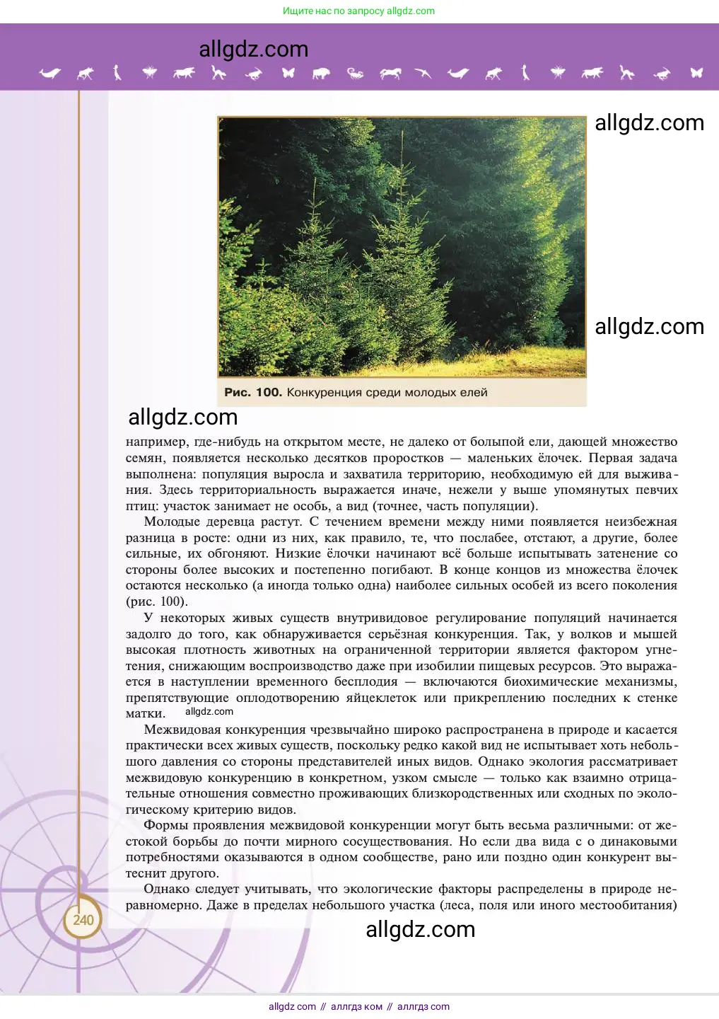 Биология, 11 класс Учебник, авторы: Пасечник Владимир Васильевич, Каменский Андрей Александрович, Рубцов Александр Михайлович, Швецов Глеб Геннадьевич, Абовян Леван Арташесович, Гапонюк Зоя Георгиевна, издательство Просвещение, Москва, 2023, страница 240