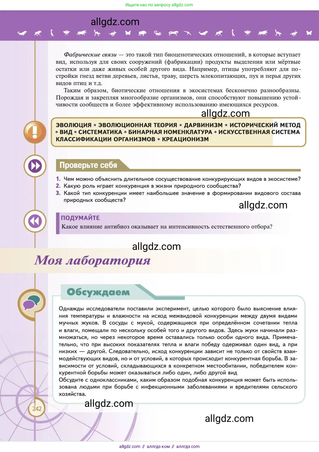 Биология, 11 класс Учебник, авторы: Пасечник Владимир Васильевич, Каменский Андрей Александрович, Рубцов Александр Михайлович, Швецов Глеб Геннадьевич, Абовян Леван Арташесович, Гапонюк Зоя Георгиевна, издательство Просвещение, Москва, 2023, страница 242