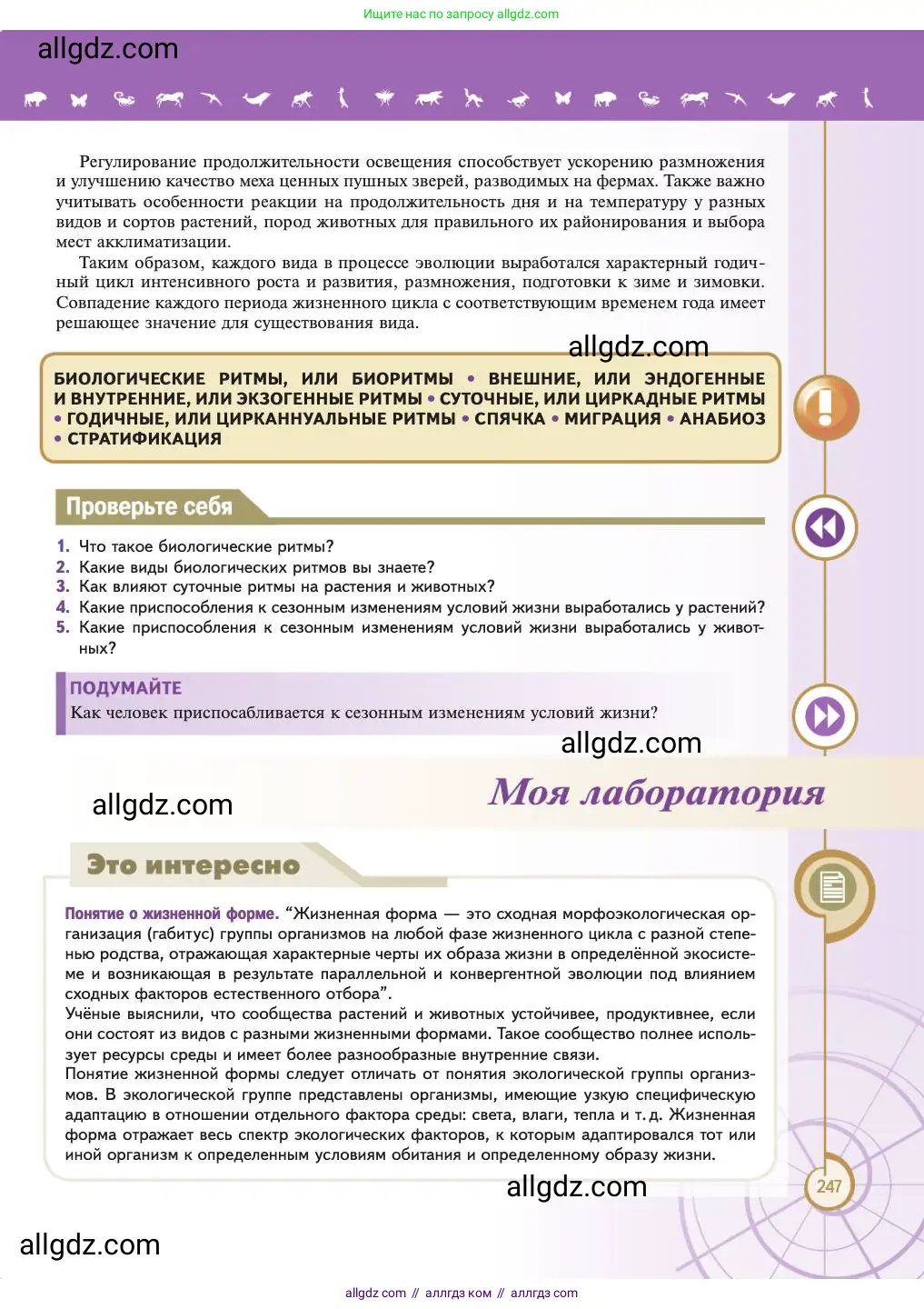 Биология, 11 класс Учебник, авторы: Пасечник Владимир Васильевич, Каменский Андрей Александрович, Рубцов Александр Михайлович, Швецов Глеб Геннадьевич, Абовян Леван Арташесович, Гапонюк Зоя Георгиевна, издательство Просвещение, Москва, 2023, страница 247