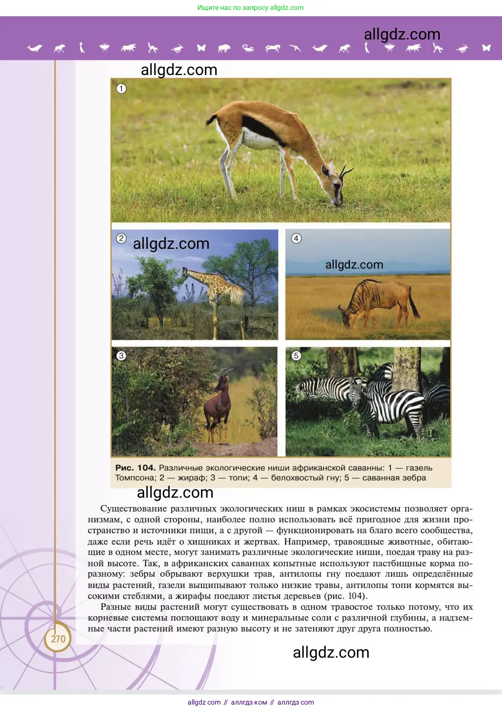 Биология, 11 класс Учебник, авторы: Пасечник Владимир Васильевич, Каменский Андрей Александрович, Рубцов Александр Михайлович, Швецов Глеб Геннадьевич, Абовян Леван Арташесович, Гапонюк Зоя Георгиевна, издательство Просвещение, Москва, 2023, страница 270
