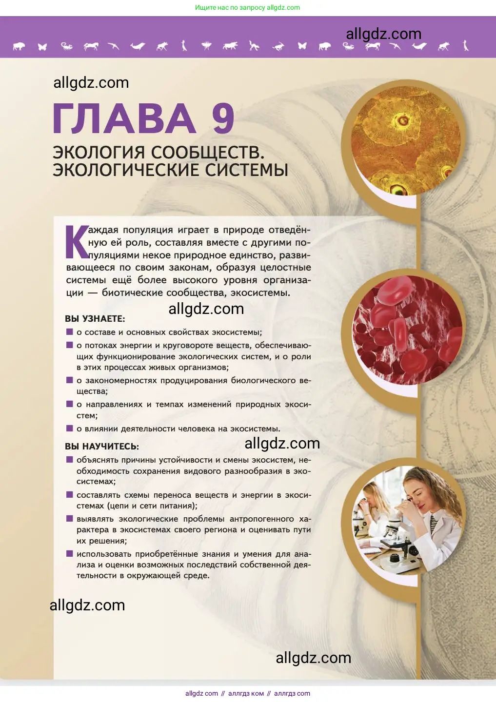 Биология, 11 класс Учебник, авторы: Пасечник Владимир Васильевич, Каменский Андрей Александрович, Рубцов Александр Михайлович, Швецов Глеб Геннадьевич, Абовян Леван Арташесович, Гапонюк Зоя Георгиевна, издательство Просвещение, Москва, 2023, страница 283