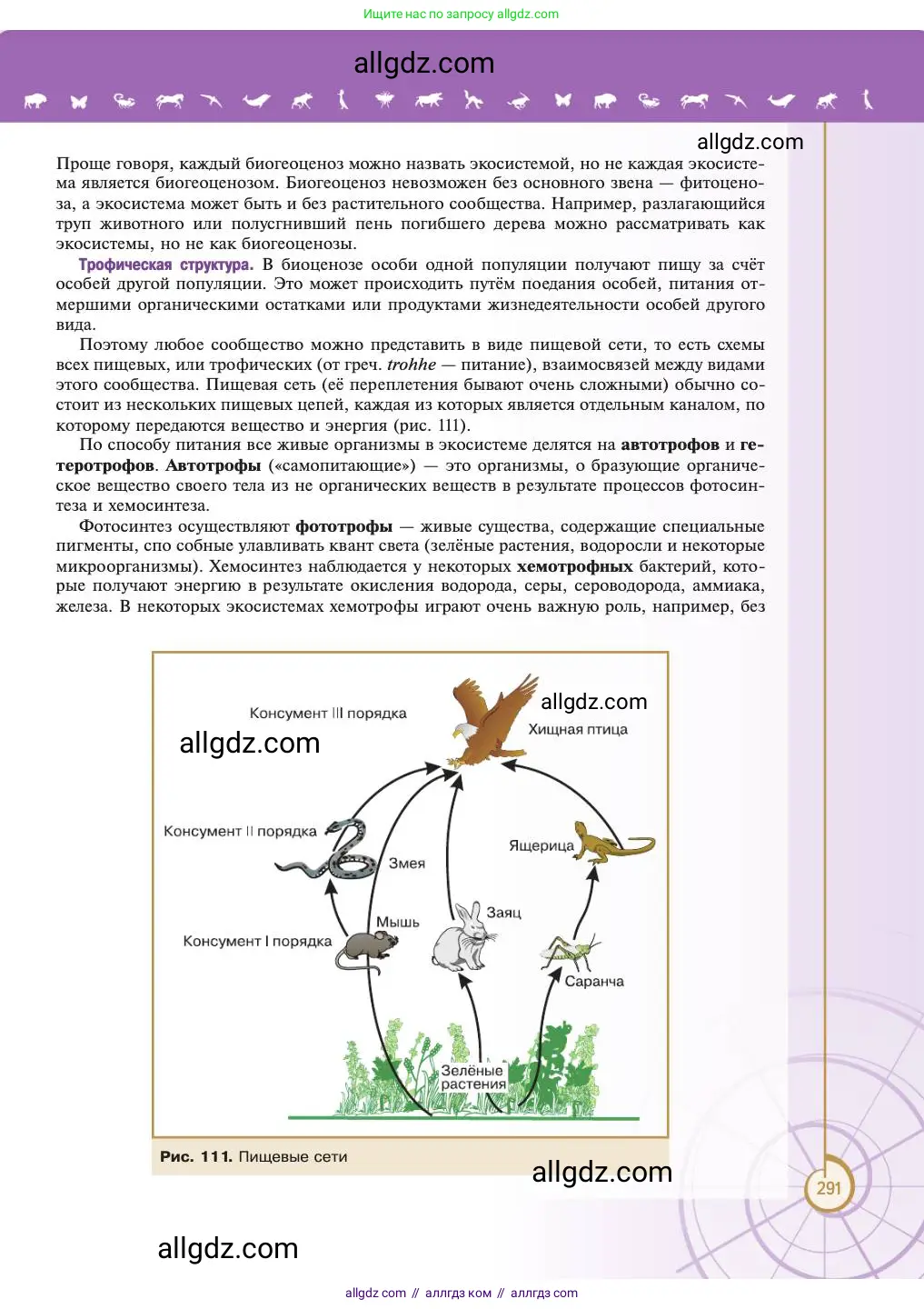 Биология, 11 класс Учебник, авторы: Пасечник Владимир Васильевич, Каменский Андрей Александрович, Рубцов Александр Михайлович, Швецов Глеб Геннадьевич, Абовян Леван Арташесович, Гапонюк Зоя Георгиевна, издательство Просвещение, Москва, 2023, страница 291