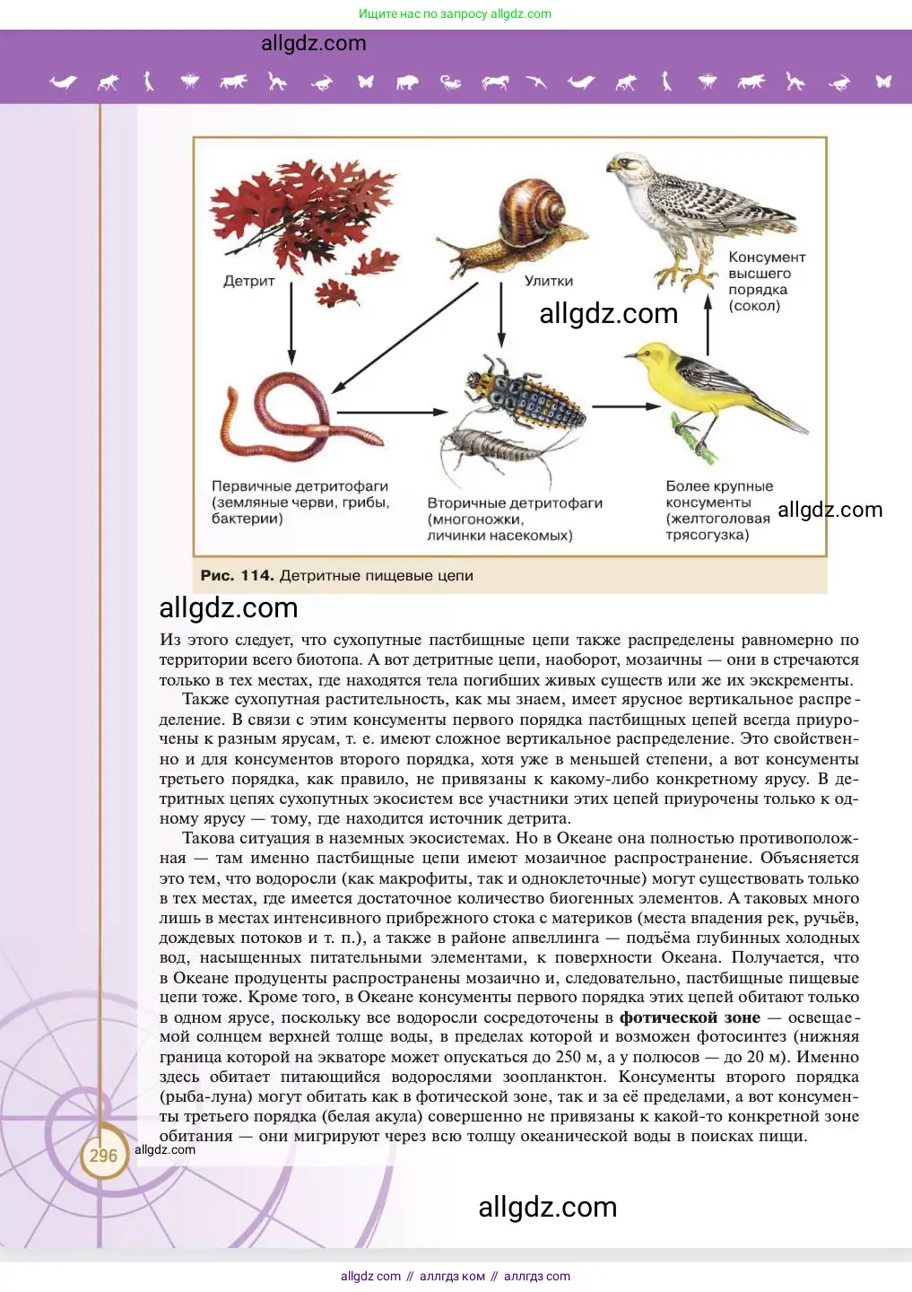 Биология, 11 класс Учебник, авторы: Пасечник Владимир Васильевич, Каменский Андрей Александрович, Рубцов Александр Михайлович, Швецов Глеб Геннадьевич, Абовян Леван Арташесович, Гапонюк Зоя Георгиевна, издательство Просвещение, Москва, 2023, страница 296