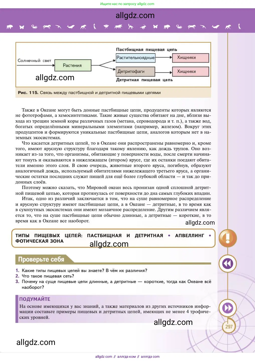 Биология, 11 класс Учебник, авторы: Пасечник Владимир Васильевич, Каменский Андрей Александрович, Рубцов Александр Михайлович, Швецов Глеб Геннадьевич, Абовян Леван Арташесович, Гапонюк Зоя Георгиевна, издательство Просвещение, Москва, 2023, страница 297