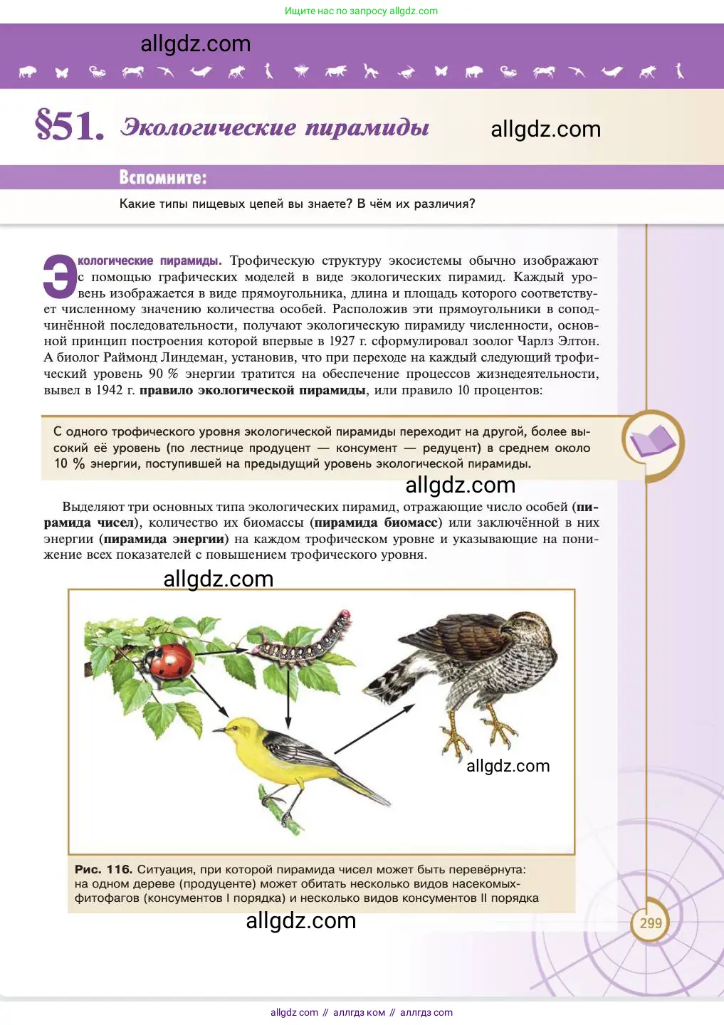 Биология, 11 класс Учебник, авторы: Пасечник Владимир Васильевич, Каменский Андрей Александрович, Рубцов Александр Михайлович, Швецов Глеб Геннадьевич, Абовян Леван Арташесович, Гапонюк Зоя Георгиевна, издательство Просвещение, Москва, 2023, страница 299