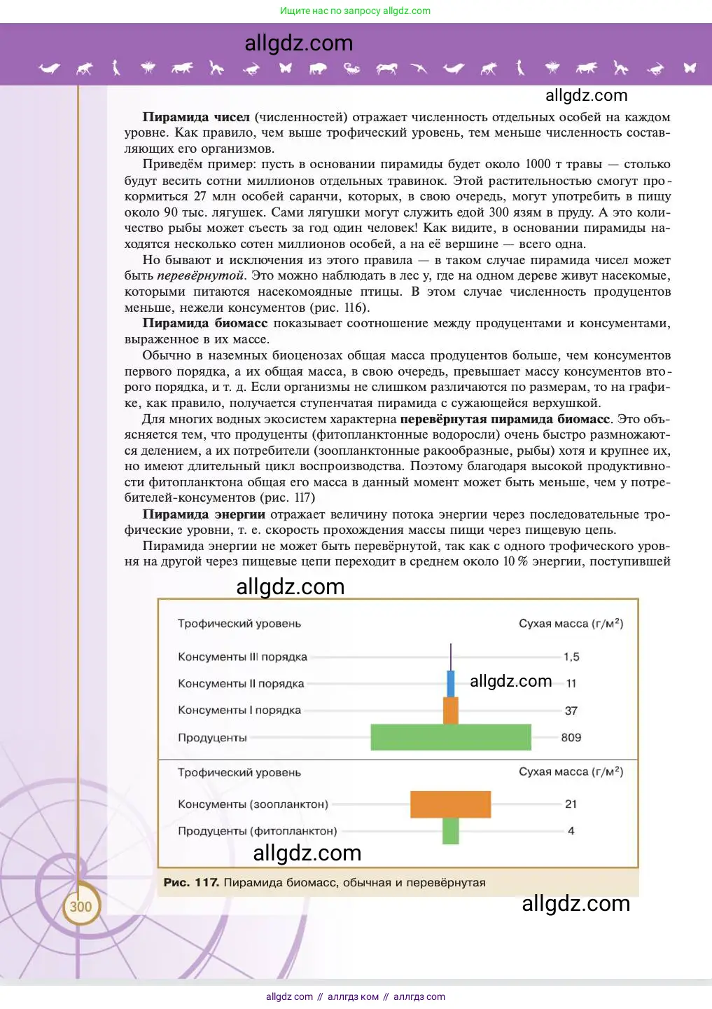 Биология, 11 класс Учебник, авторы: Пасечник Владимир Васильевич, Каменский Андрей Александрович, Рубцов Александр Михайлович, Швецов Глеб Геннадьевич, Абовян Леван Арташесович, Гапонюк Зоя Георгиевна, издательство Просвещение, Москва, 2023, страница 300