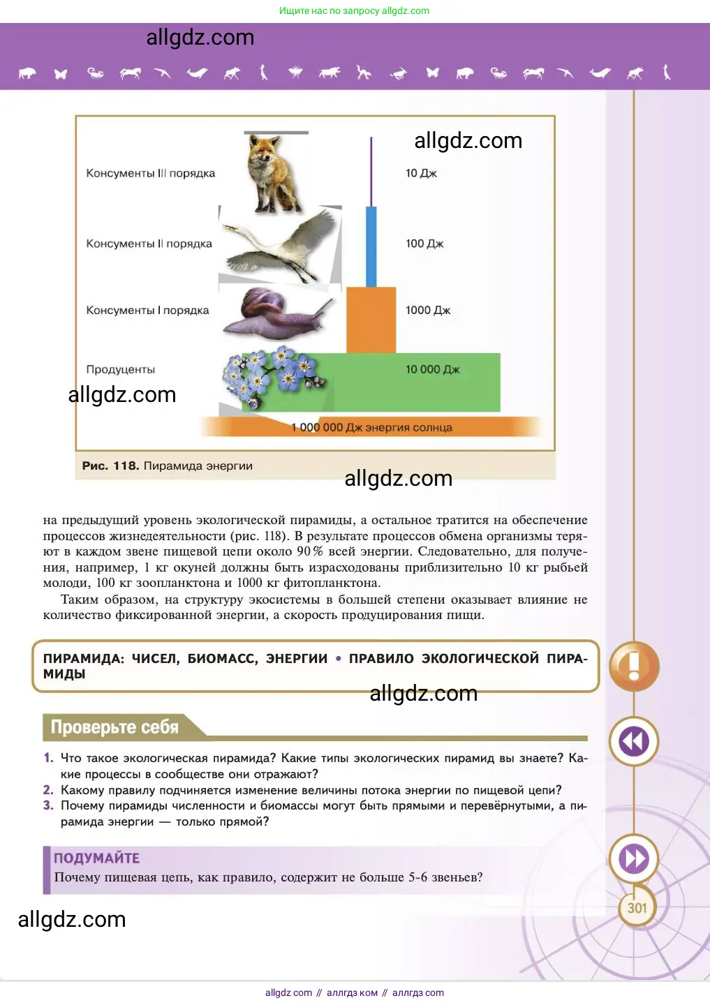 Биология, 11 класс Учебник, авторы: Пасечник Владимир Васильевич, Каменский Андрей Александрович, Рубцов Александр Михайлович, Швецов Глеб Геннадьевич, Абовян Леван Арташесович, Гапонюк Зоя Георгиевна, издательство Просвещение, Москва, 2023, страница 301