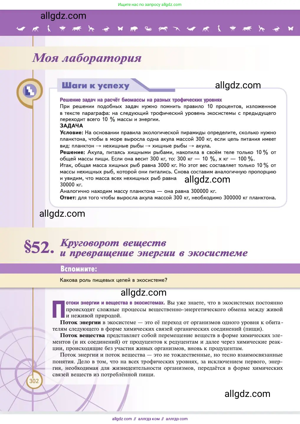 Биология, 11 класс Учебник, авторы: Пасечник Владимир Васильевич, Каменский Андрей Александрович, Рубцов Александр Михайлович, Швецов Глеб Геннадьевич, Абовян Леван Арташесович, Гапонюк Зоя Георгиевна, издательство Просвещение, Москва, 2023, страница 302