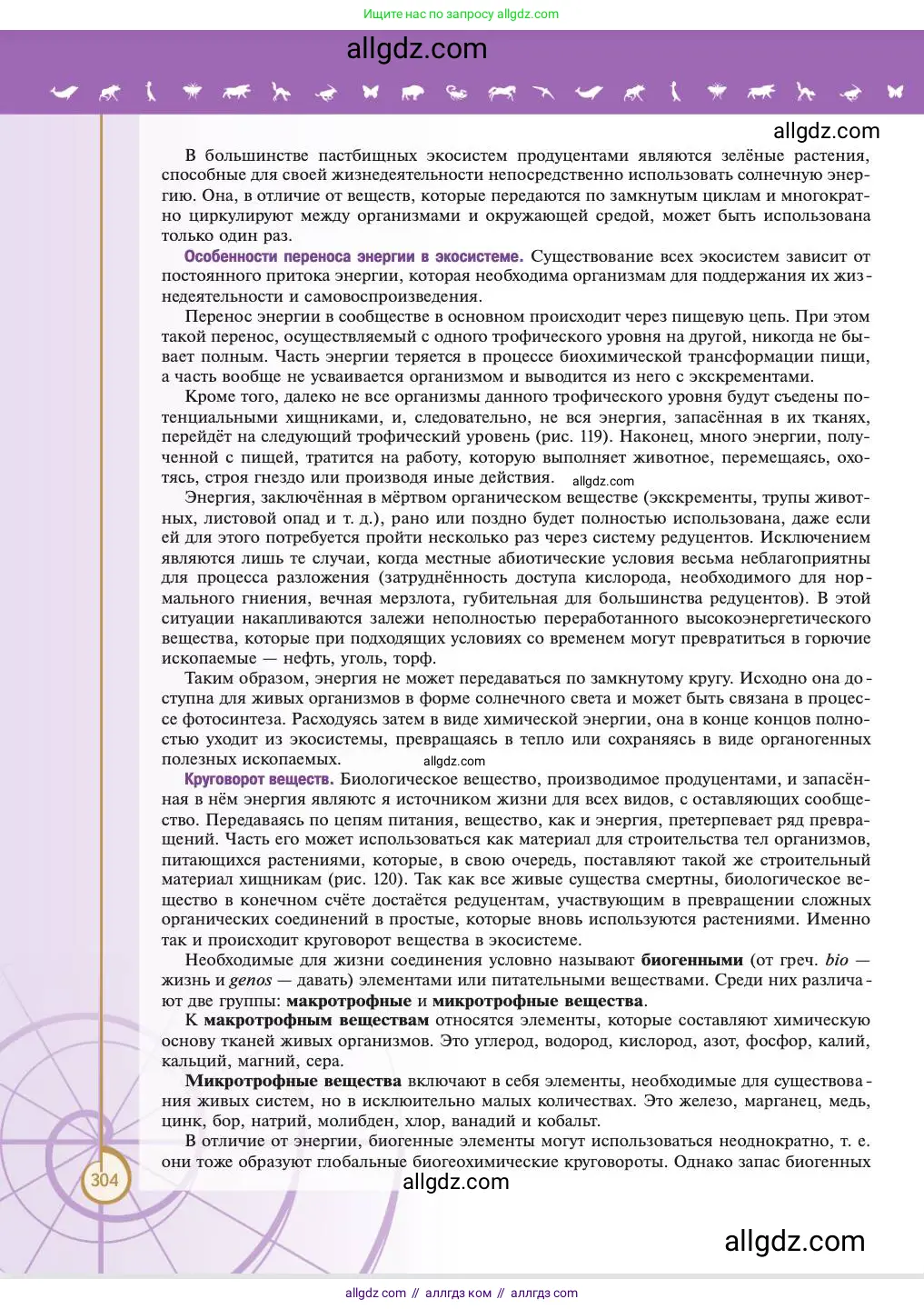 Биология, 11 класс Учебник, авторы: Пасечник Владимир Васильевич, Каменский Андрей Александрович, Рубцов Александр Михайлович, Швецов Глеб Геннадьевич, Абовян Леван Арташесович, Гапонюк Зоя Георгиевна, издательство Просвещение, Москва, 2023, страница 304