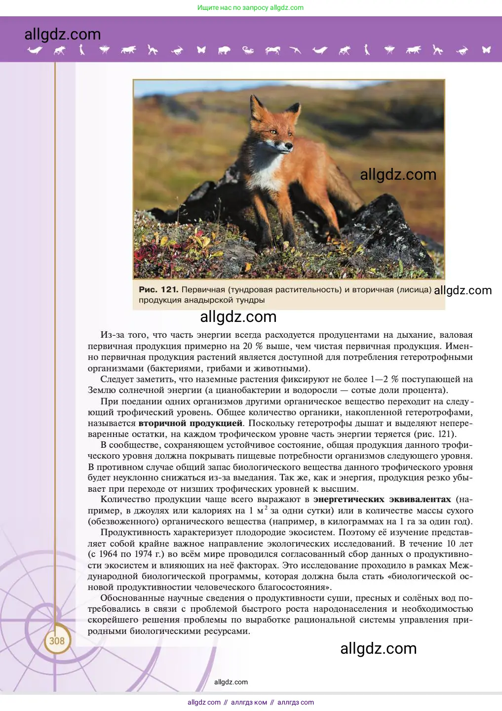 Биология, 11 класс Учебник, авторы: Пасечник Владимир Васильевич, Каменский Андрей Александрович, Рубцов Александр Михайлович, Швецов Глеб Геннадьевич, Абовян Леван Арташесович, Гапонюк Зоя Георгиевна, издательство Просвещение, Москва, 2023, страница 308