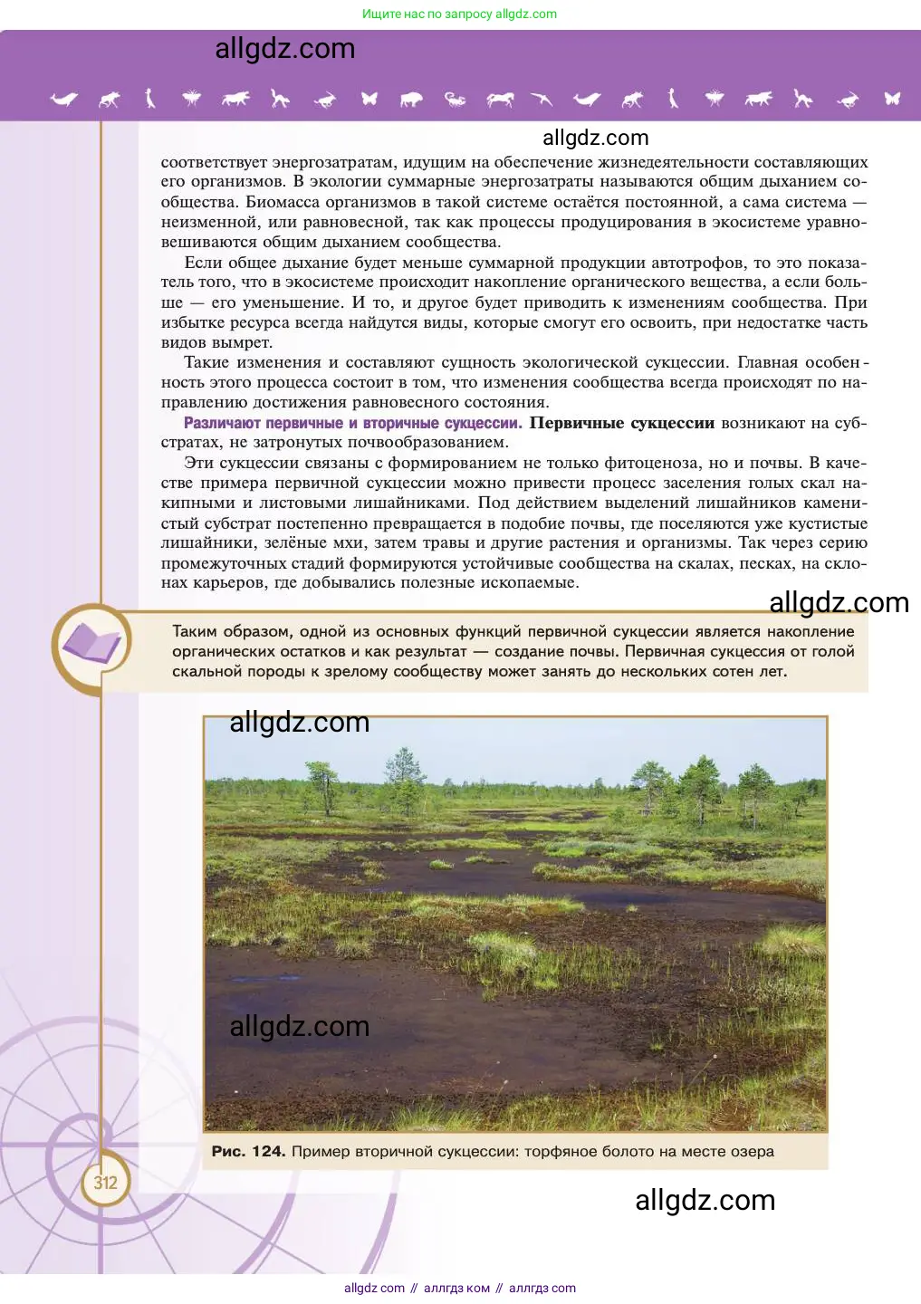 Биология, 11 класс Учебник, авторы: Пасечник Владимир Васильевич, Каменский Андрей Александрович, Рубцов Александр Михайлович, Швецов Глеб Геннадьевич, Абовян Леван Арташесович, Гапонюк Зоя Георгиевна, издательство Просвещение, Москва, 2023, страница 312