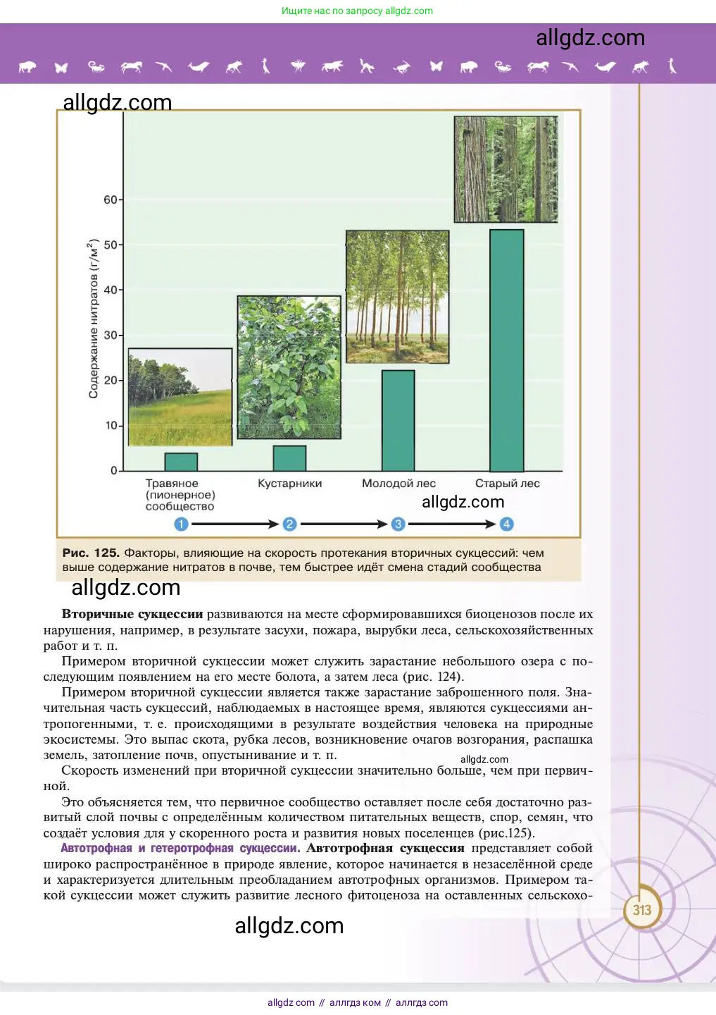 Биология, 11 класс Учебник, авторы: Пасечник Владимир Васильевич, Каменский Андрей Александрович, Рубцов Александр Михайлович, Швецов Глеб Геннадьевич, Абовян Леван Арташесович, Гапонюк Зоя Георгиевна, издательство Просвещение, Москва, 2023, страница 313