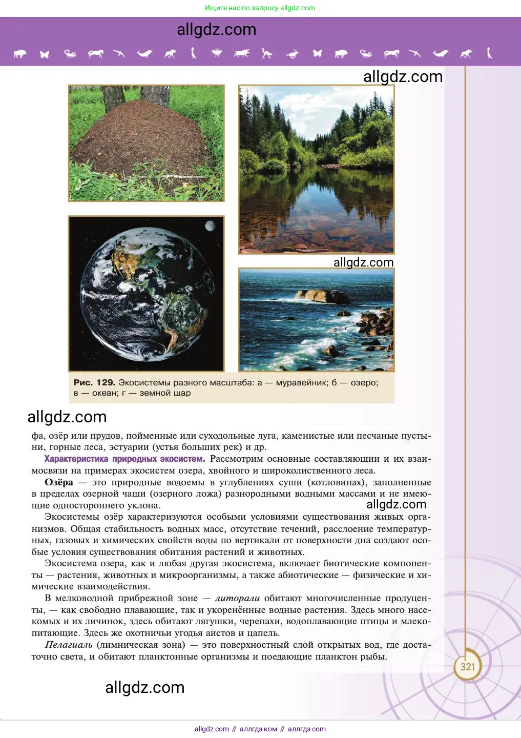 Биология, 11 класс Учебник, авторы: Пасечник Владимир Васильевич, Каменский Андрей Александрович, Рубцов Александр Михайлович, Швецов Глеб Геннадьевич, Абовян Леван Арташесович, Гапонюк Зоя Георгиевна, издательство Просвещение, Москва, 2023, страница 321
